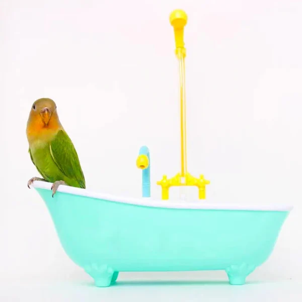 Bird Bath